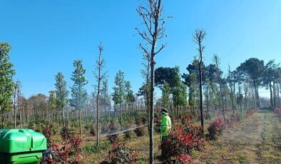 Fidanlara koruyucu müdahale